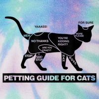 Petting Chart For A Cat Funny How To Pet A Cat Meme Legacy Tie Dye Trucker Hat