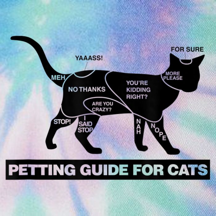 Petting Chart For A Cat Funny How To Pet A Cat Meme Legacy Tie Dye Trucker Hat