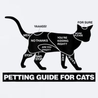 Petting Chart For A Cat Funny How To Pet A Cat Meme Sueded Cloud Jersey T-Shirt