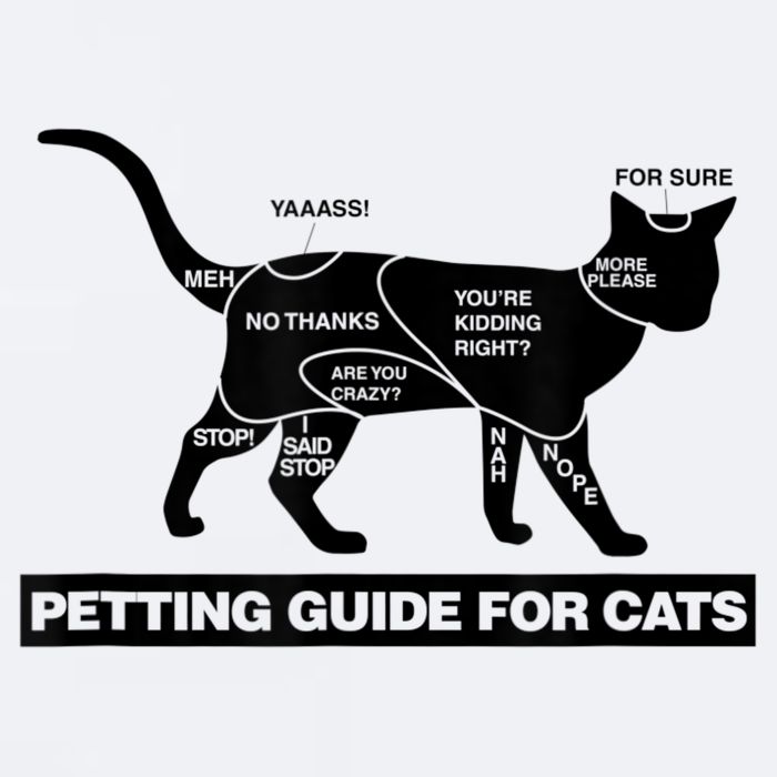 Petting Chart For A Cat Funny How To Pet A Cat Meme Sueded Cloud Jersey T-Shirt