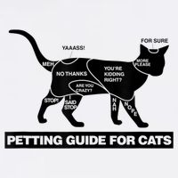 Petting Chart For A Cat Funny How To Pet A Cat Meme Bucket Hat