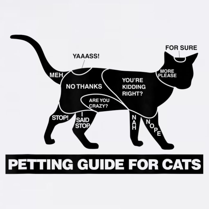 Petting Chart For A Cat Funny How To Pet A Cat Meme Bucket Hat