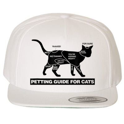 Petting Chart For A Cat Funny How To Pet A Cat Meme Wool Snapback Cap