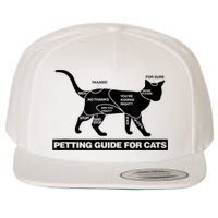 Petting Chart For A Cat Funny How To Pet A Cat Meme Wool Snapback Cap