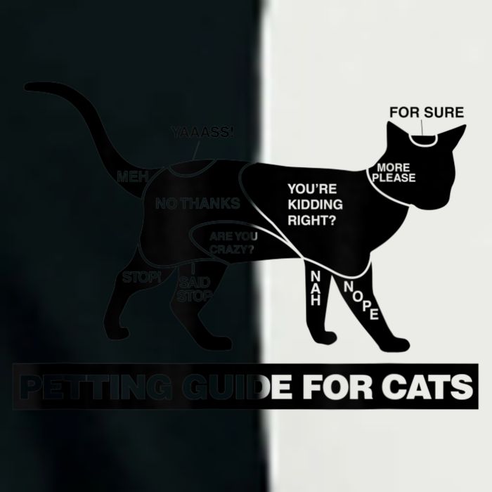 Petting Chart For A Cat Funny How To Pet A Cat Meme Infant Baby Jersey Bodysuit