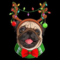 Pug Christmas Festive Cute Sustainable Bucket Hat