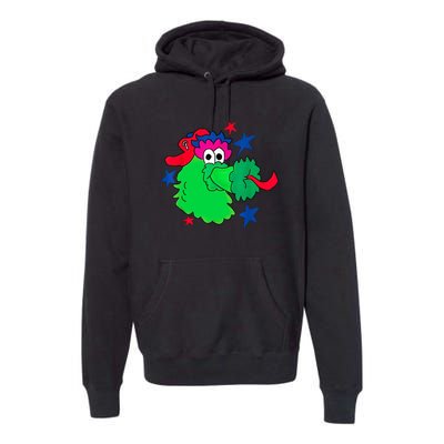 Phanatic Congrats Funny Premium Hoodie