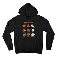 Potter Cats Funny Gifts For Cat Lovers Hoodie