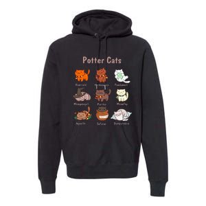 Potter Cats Funny Gifts For Cat Lovers Premium Hoodie