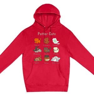 Potter Cats Funny Gifts For Cat Lovers Premium Pullover Hoodie