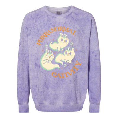 Purranormal Cativity Funny Halloween Costume Ghost Cats Gift Great Gift Colorblast Crewneck Sweatshirt