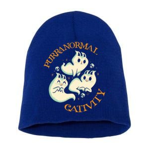 Purranormal Cativity Funny Halloween Costume Ghost Cats Gift Great Gift Short Acrylic Beanie