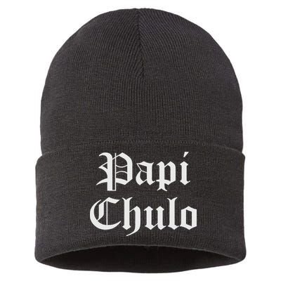 Papi Chulo Funny Mexican Spanish Handsome El Jefe Pimp Daddy Sustainable Knit Beanie