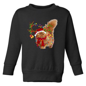 Persian Cat Gorgeous Reindeer Christmas Tree Light Xmas Toddler Sweatshirt