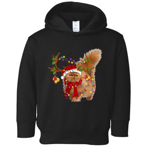 Persian Cat Gorgeous Reindeer Christmas Tree Light Xmas Toddler Hoodie