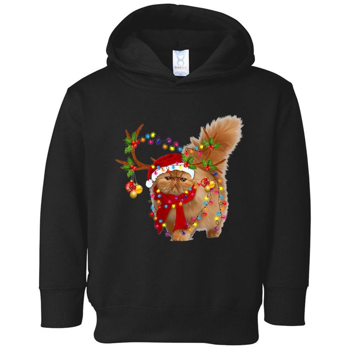 Persian Cat Gorgeous Reindeer Christmas Tree Light Xmas Toddler Hoodie