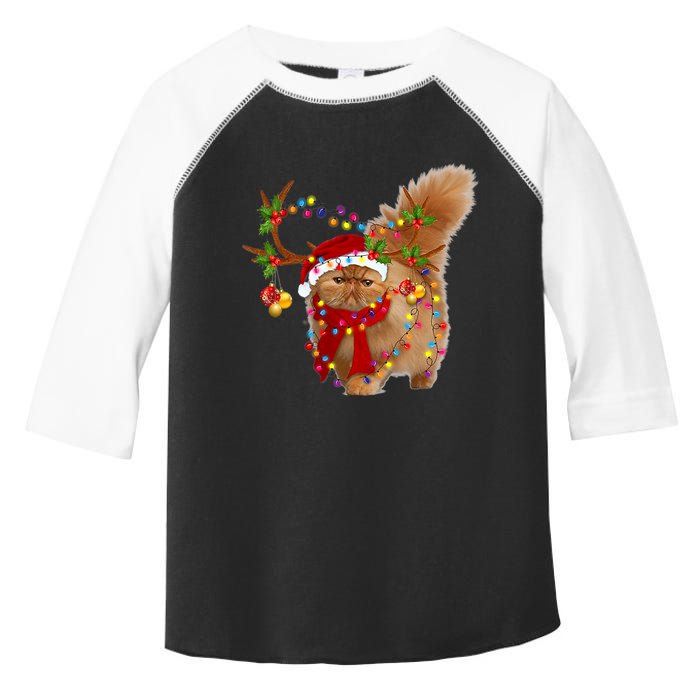 Persian Cat Gorgeous Reindeer Christmas Tree Light Xmas Toddler Fine Jersey T-Shirt