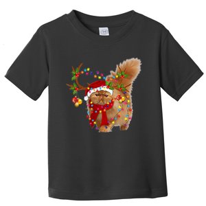 Persian Cat Gorgeous Reindeer Christmas Tree Light Xmas Toddler T-Shirt