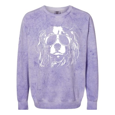 Proud Cavalier King Charles Spaniel Colorblast Crewneck Sweatshirt