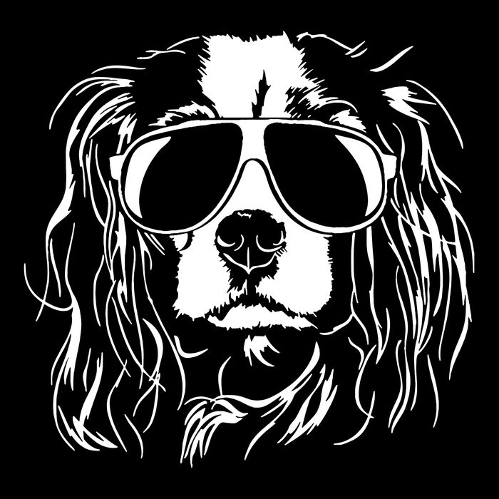 Proud Cavalier King Charles Spaniel 16 in Basic Backpack