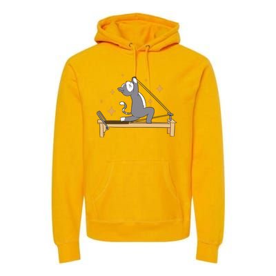 Pilates Cat Lover Funny Premium Hoodie