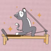 Pilates Cat Lover Funny 25L Jumbo Tote