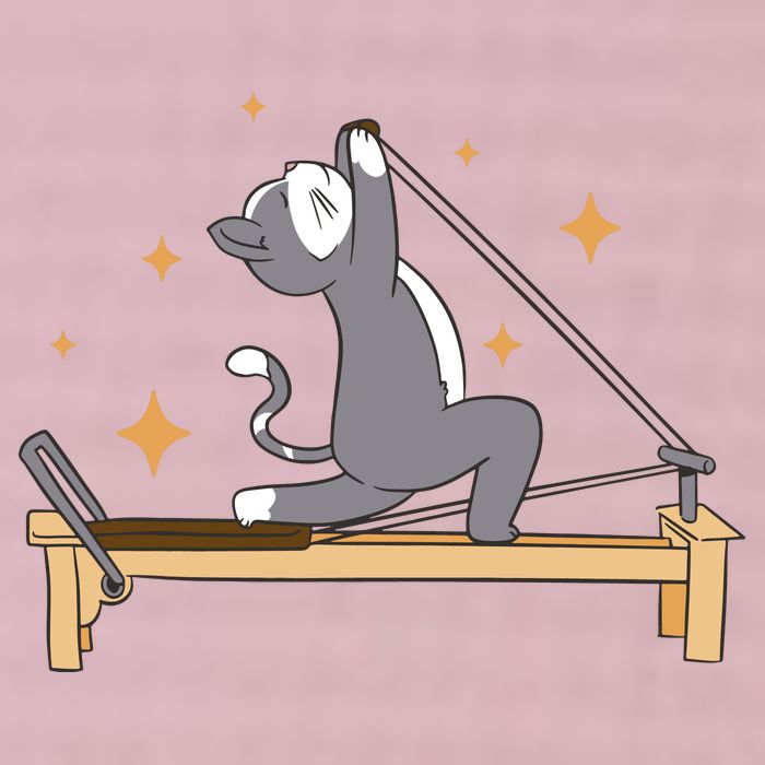Pilates Cat Lover Funny 25L Jumbo Tote