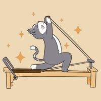 Pilates Cat Lover Funny Zip Tote Bag