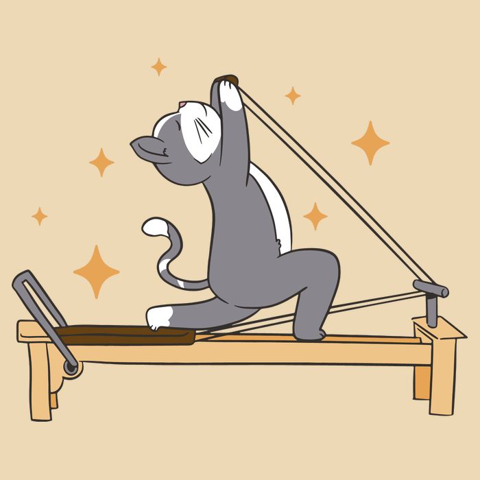 Pilates Cat Lover Funny Zip Tote Bag