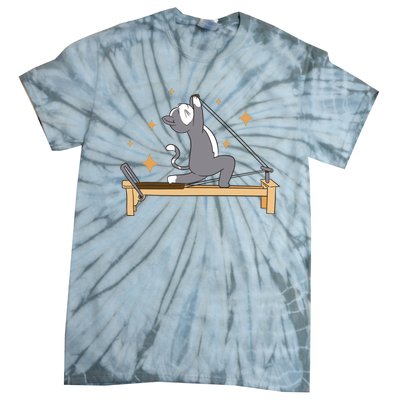 Pilates Cat Lover Funny Tie-Dye T-Shirt