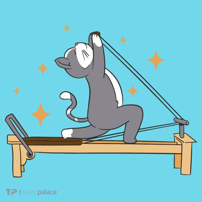 Pilates Cat Lover Funny Button