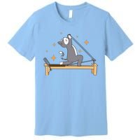 Pilates Cat Lover Funny Premium T-Shirt