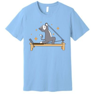 Pilates Cat Lover Funny Premium T-Shirt