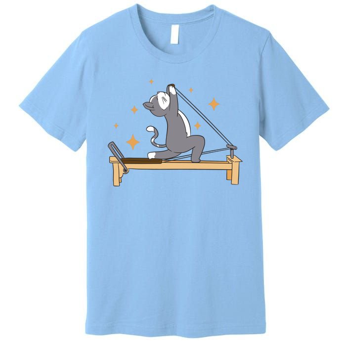 Pilates Cat Lover Funny Premium T-Shirt