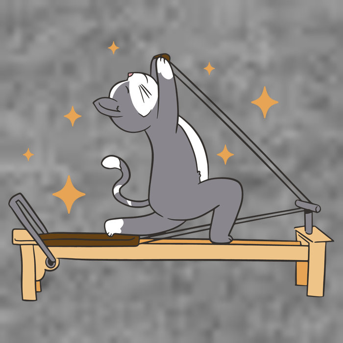 Pilates Cat Lover Funny Tall Sweatshirt