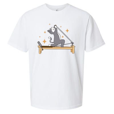 Pilates Cat Lover Funny Sueded Cloud Jersey T-Shirt