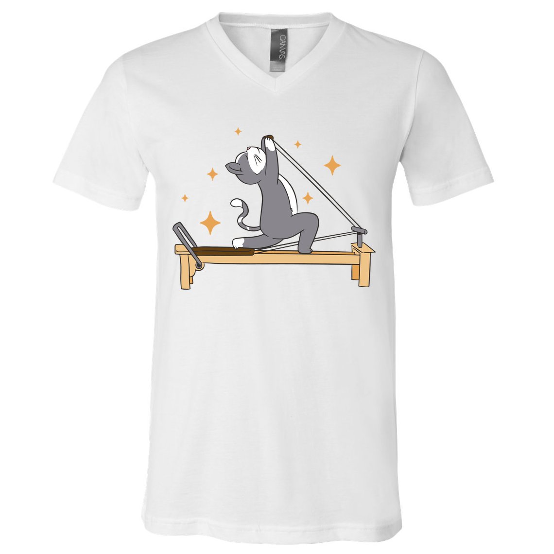 Pilates Cat Lover Funny V-Neck T-Shirt