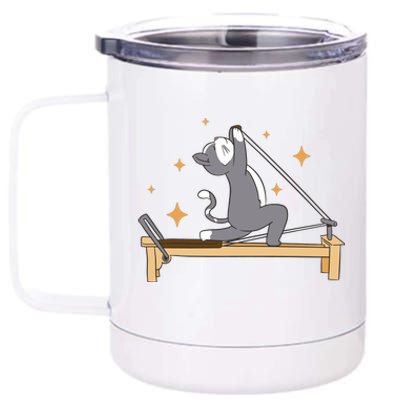 Pilates Cat Lover Funny 12 oz Stainless Steel Tumbler Cup