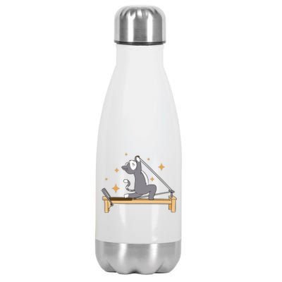 Pilates Cat Lover Funny Stainless Steel Insulated Water Bottle