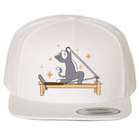 Pilates Cat Lover Funny Wool Snapback Cap