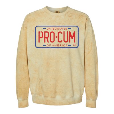 Pro Cum License Plate Colorblast Crewneck Sweatshirt