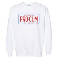 Pro Cum License Plate Garment-Dyed Sweatshirt