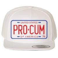 Pro Cum License Plate Wool Snapback Cap