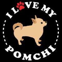 Pomeranian Chihuahua Mix Breed Dog Happy Pomchi Dog Cooling Performance Long Sleeve Crew