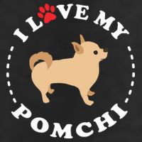 Pomeranian Chihuahua Mix Breed Dog Happy Pomchi Dog Golf Towel
