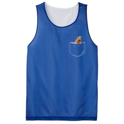 Pocket Capybara Meaningful Gift Funny Capybara In Pocket Gift Mesh Reversible Basketball Jersey Tank