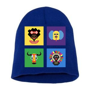 Pixelated Costumes Of Barranquilla's Carnival Miami Florida Meaningful Gift Short Acrylic Beanie