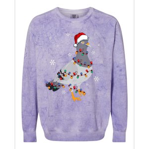 Pigeons Christmas Outfit Pigeon Breeder Christmas Girl Colorblast Crewneck Sweatshirt