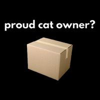 Proud Cat Owner Schrodingers Cat Funny Visor
