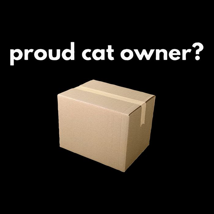 Proud Cat Owner Schrodingers Cat Funny 7-Panel Snapback Hat